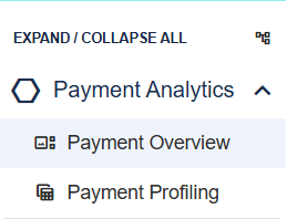 Payment Analytics page showing left navigation and top filter bar